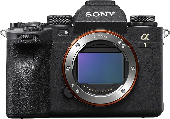 1. Sony A1