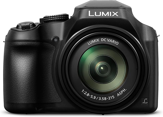11. Panasonic Lumix FZ80